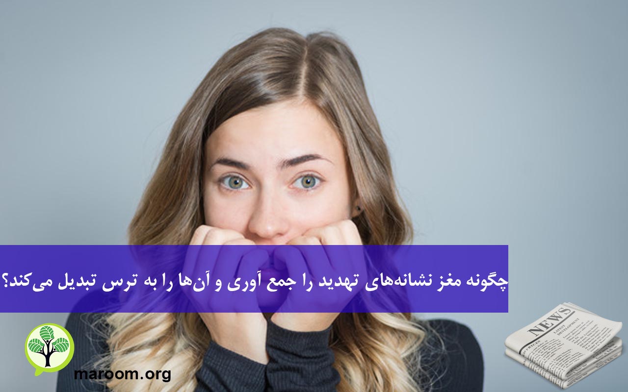 چگونه مغز نشانه‌های تهدید را جمع آوری و آن‌ها را به ترس تبدیل می‌کند؟