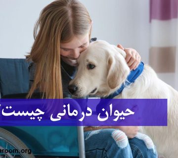 حیوان درمانی