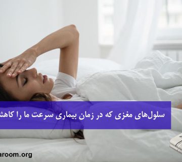 سلول‌های مغزی که در زمان بیماری سرعت ما را کاهش می‌دهند